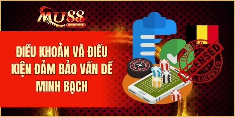 Điều khoản và điều kiện đảm bảo vấn đề minh bạch