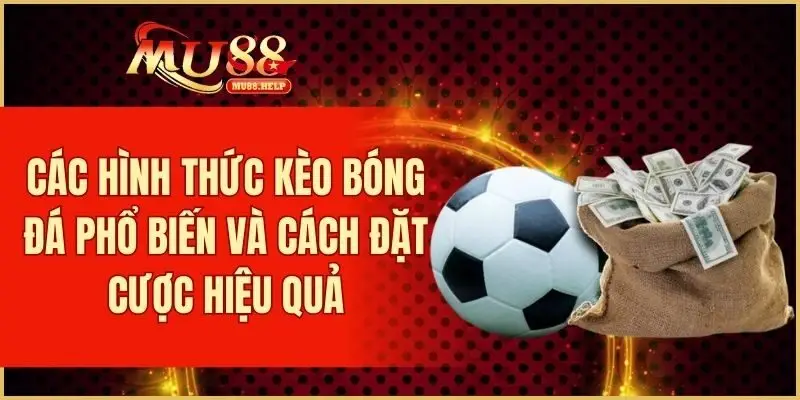 Tổng hợp các hình thức kèo bóng đá phổ biến và cách đặt cược